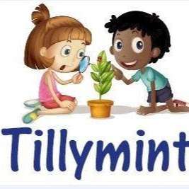 Tillymints Day Nurseries photo